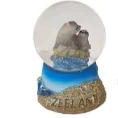 Glasbol zeehond