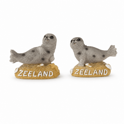 Zeehond op strand