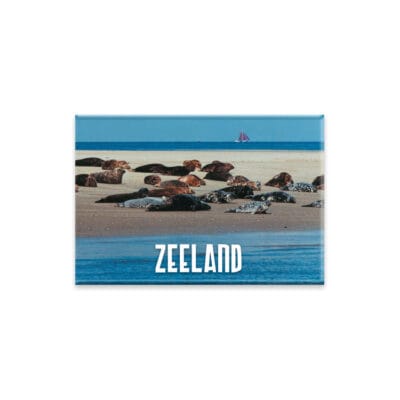 Magneet zeehonden