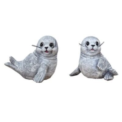 Zeehond vrolijk grijs