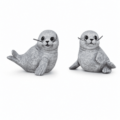 Zeehond vrolijk grijs