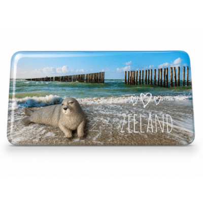 Epoxy magneet met 3D Zeehondje