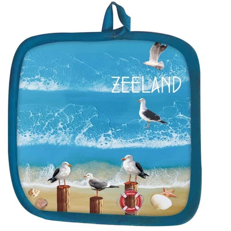 Pannenlap Strand Zee & Meeuw