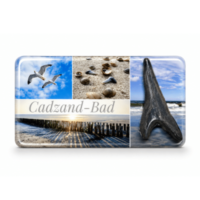Epoxy magneet Haaientand Cadzand-Bad