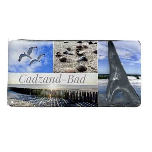 Epoxy magneet Haaientand Cadzand-Bad 1 Epoxy magneet Haaientand Cadzand-Bad