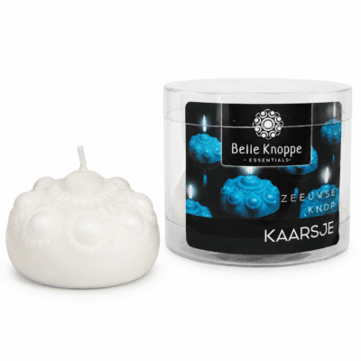 Zeeuwse Knop Kaars Klein wit