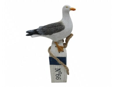 Meeuw op meerpaal nr. 66