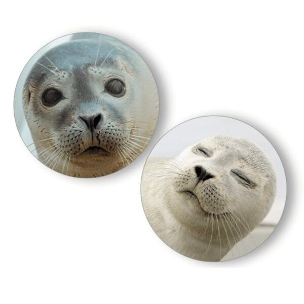 Glasmagneet rond Zeehond 1 Glasmagneet rond Zeehond