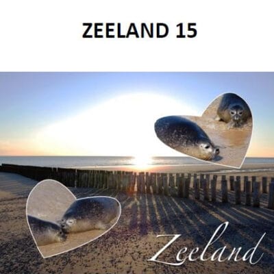 Ansichtkaart ZO 015