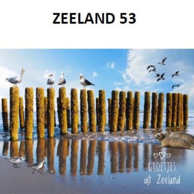 Ansichtkaart ZO 053