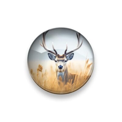 Glasmagneet XL Damhert