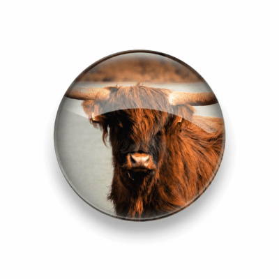 Glasmagneet XL Schotse Hooglander