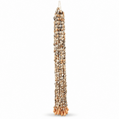 Schelpen - Gordon percing